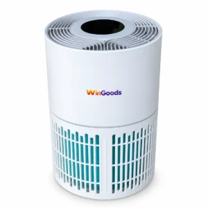 Máy lọc không khí Wingoods WG-AIR-003 model LYL-KQXDJ-09 trên nền trắng
